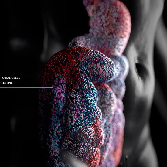 Animierter menschlicher Darm mit  10 Billionen mikrobiellen Zellen.