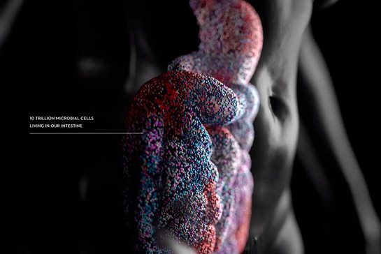 Animierter menschlicher Darm mit  10 Billionen mikrobiellen Zellen.