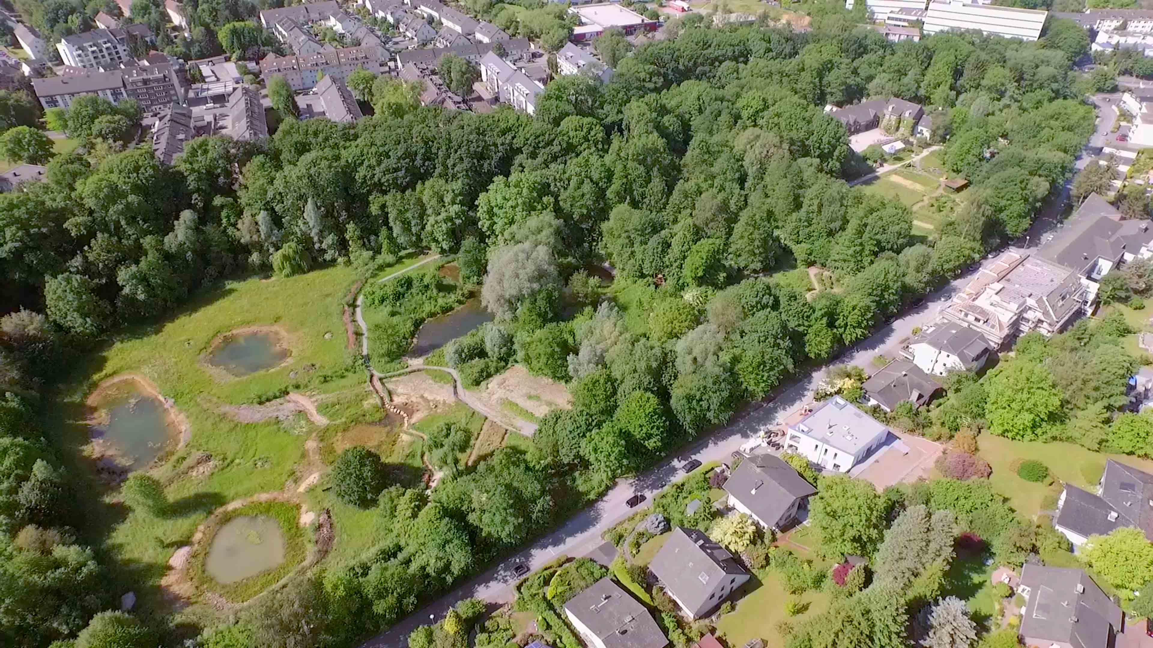 Luftaufnahme einer Siedlung und Brachstelle mit Bäumen