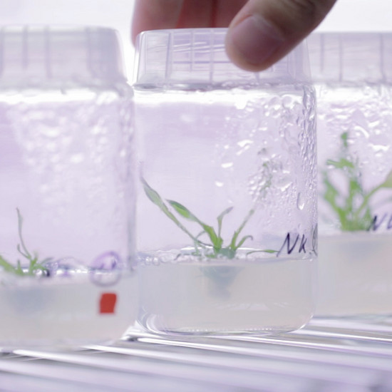 Kinderleicht erklärt Wasserproben in der Wissenschaft