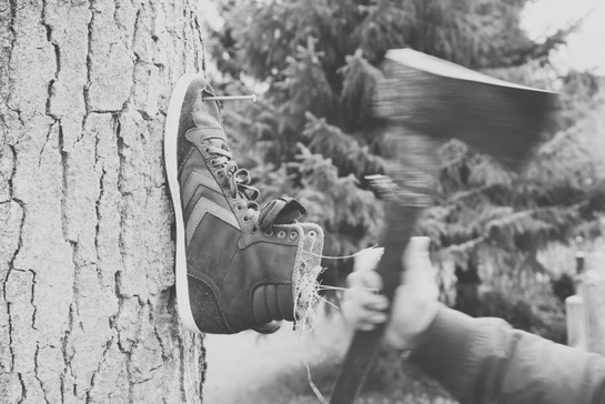Eine Person angelt Schuhe an einen Baum