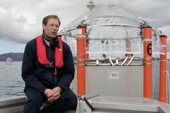 bb_mooc_teaser_02_hauptteaser.jpg Ein Mann in Rettungsweste sitzt auf einem Boot
