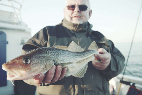 Ein alter Mann hält einen Fisch in die Kamera