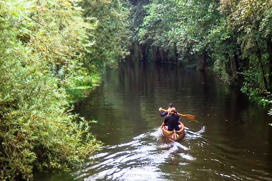 Zwei Personen fahren Kajak auf einem See