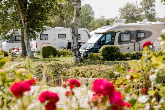 bb_waab_teaser_04.jpg Blick auf einen Campingplatz mit Rosen