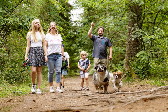 Eine Familie mit Hunden geht im Hundewald Trappenkamp spazieren.
