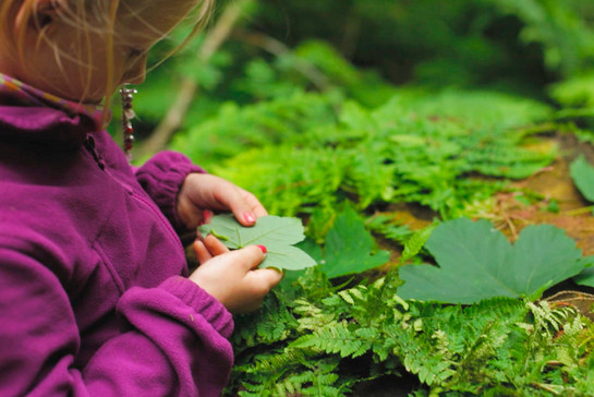 Ein Kind guckt sich ein grünes Blatt an