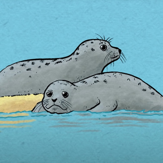 Illustration zweier kleiner Seehunde auf Sandbank