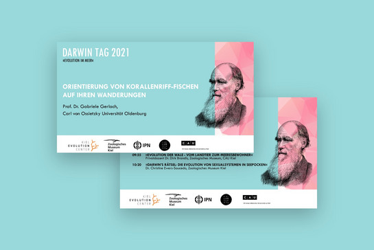 Zwei Flyer zum Darwin Tag