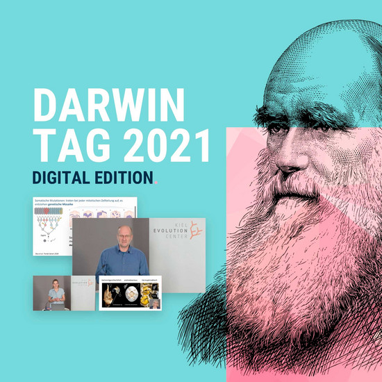 Gezeichnetes Bild zum Darwin Tag 2021